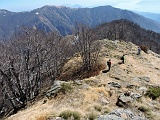 Rientriamo nel bosco dove il sentiero ci riporta all'Alpe Leciuri....
